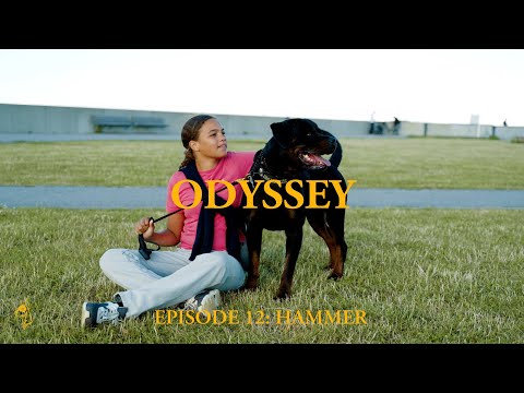 Odyssey - Season 3: Episode 12 - Hammer