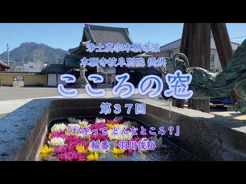 こころの窓　第37回『お寺って どんなところ？』2023年11月12日放送分【羽川俊裕】