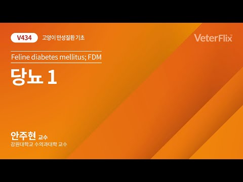 [베터플릭스][고양이 만성질환 기초] 당뇨1(Feline diabetes mellitus; FDM)