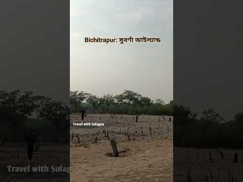 গরীবের মালদ্বীপ Bichitrapur! Near Digha #youtubeshorts