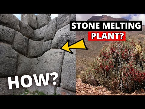 Did the ancient Incas use a secret plant technology to "soften" stones?