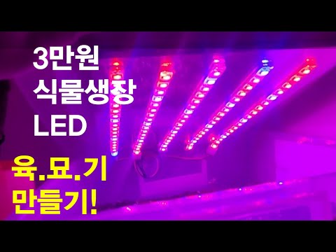 LED 식물생장 육묘기 만들기