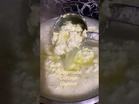 Homemade cheese/homemade paneer#shorts #youtubeshort #cottagecheese