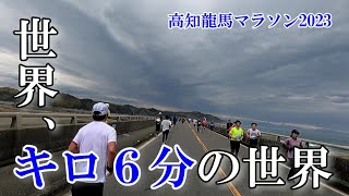 【高知龍馬マラソン2023】初級者目線で見るフルマラソン