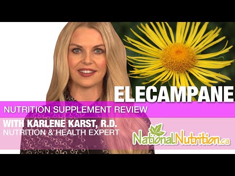 Elecampane Lung Tonic for Respiration - Professional Supplement Review | National Nutrition Canada