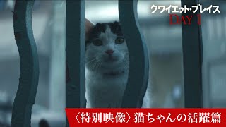 映画『クワイエット・プレイス：DAY 1』〈特別映像〉猫ちゃんの活躍篇｜6月28日(金)全国ロードショー