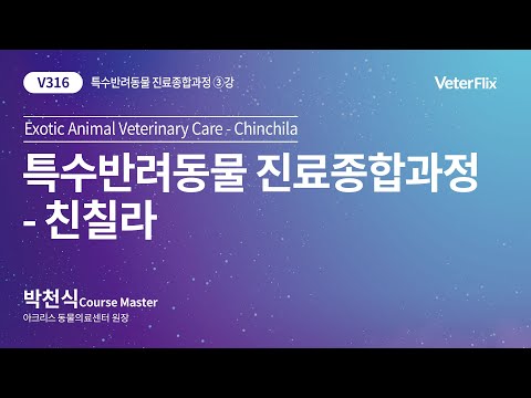 [베터플릭스][특수반려동물 진료종합과정] 친칠라(Exotic Animal Veterinary Care-Chinchila)