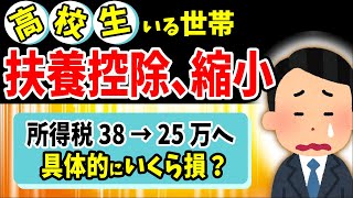 【超速報！】扶養控除38万円から25万円に縮小！高校生いる世帯､年収別でいくら損？【子育て世帯･児童手当･異次元の少子化対策/所得税･住民税/16～18歳/岸田内閣増税/令和6年･2024年税制改正】