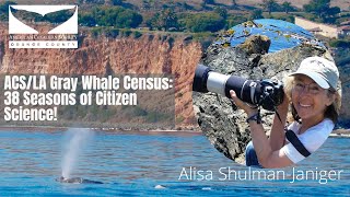 Alisa Schulman-Janiger  Lecture Gray whale behaviors & 2019-2022 Gray Whale Unusual Mortality Event