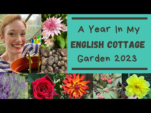 A Year In My English Cottage Garden & Allotment 2023