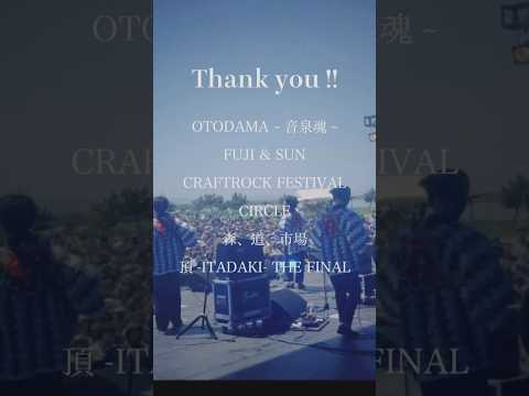 Spring festival 2024 Thank you!💫