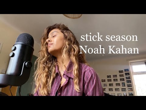 Noah Kahan - Stick Season (cover)