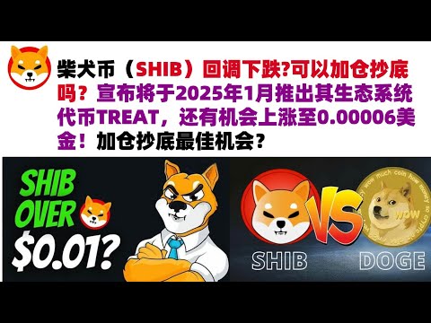 柴犬币（SHIB）回调下跌?可以加仓抄底吗？宣布将于2025年1月推出其生态系统代币TREAT，还有机会上涨至0.00006美金！会涨到0.1美金吗？加仓抄底最佳机会？shib币#柴犬币#屎币行情分析