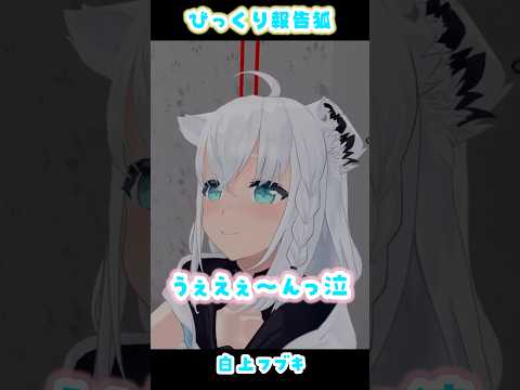 至近距離最カワきーつね【白上フブキ/VRChat/ホロライブ】