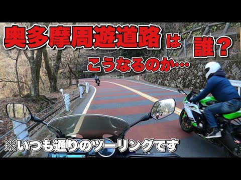 奥多摩周遊道路はいつも通りでした【モトブログ・バイク】