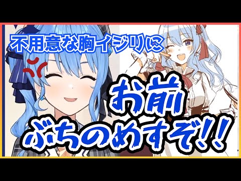 リスナーの不用意な胸イジリにブチギレるすいちゃん【星街すいせい/ホロライブ切り抜き】