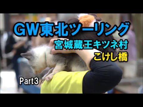 GW東北ツーリング Part3 宮城蔵王キツネ村 こけし橋【カズClionライダー】