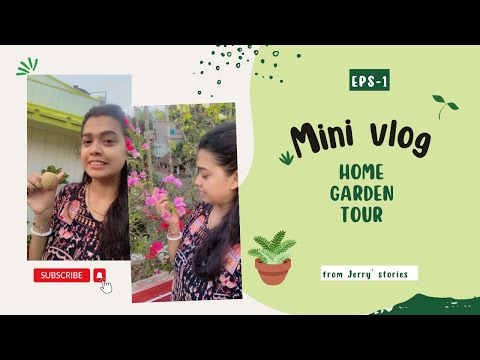 Home GardenTour|120trees😱on the roof| Philippine Special tree| Bengali vlog