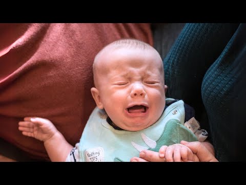 Top Hilarious Baby Reactions Caught on Camera - Baby Funny Videos