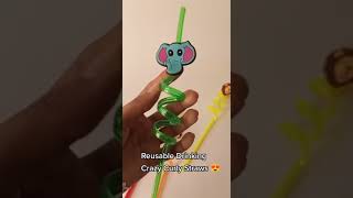 Reusable Character Straw