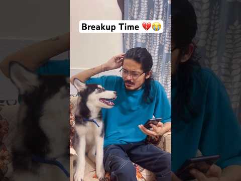 My Dog vs Girlfriend🐶💔 #shorts #dog #trendingsongs #MereMehboobMereSanam