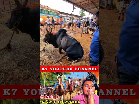 💥😳என்னப்பா🤯😨மாட்ட🐂🐮இப்படி🤩💢TRAIN🙌பன்னி வச்சுருக்காங்க🤯🤯#amazing #bull #jallikattu #k7 #manjuvirattu