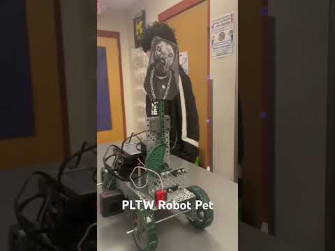 Snoop Dog PLTW Robot Pet Wiggly Ears