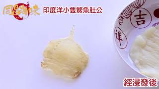 同昌海味【富豪花膠入門價 小隻印度洋生開鰵肚公登場】