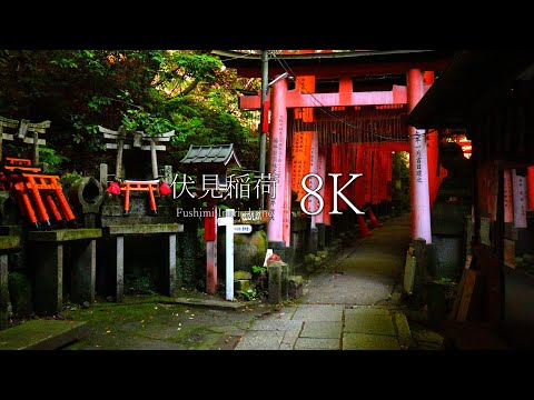 [Fushimi Inari Taisha] Journey to the summit of Inari and 24 must-see spots - KTOYO, JAPAN in 8K