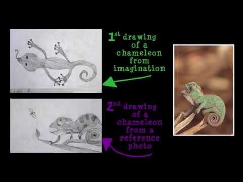 Beginner Drawing How to Draw from Imagination vs Photo by Tracy Lizotte