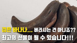 바나나 액비 만들기!(바나나액비 효능 및 효과적인 사용방법)