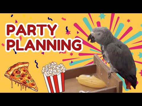 Einstein Plans a Party – Pizza, Popcorn, and Dancing!🎉🍕🍿