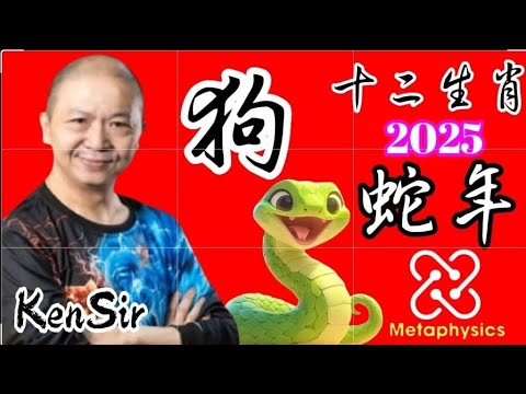 ㊙️🐶生肖【狗】｜2025年｜蛇年十二生肖｜運程預測｜#十二生肖 #2025年 #蛇 🐍 #astrology #玄學