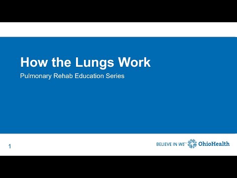 How the Lungs Work