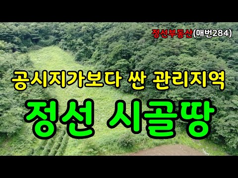 공시지가보다 싼 관리지역 정선 시골땅 / 정선토지박사