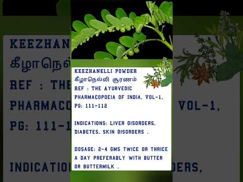 Keelanelli powder Health benefits - Cure jaundice & good for skin health