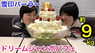 【大食い】北海道・雪印パーラーでドリームジャンボパフェ９kg！【双子】