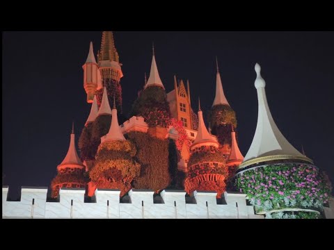 Dubai Miracle Garden December 2023:Night View of Miracle Garden on UAE National Day 2023