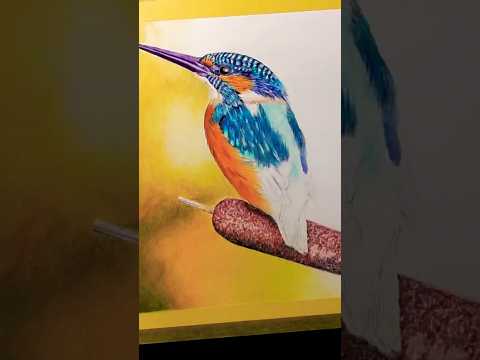 Kingfisher Drawing Using New Derwent Chromaflow 150 Set