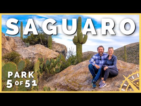 🌵⛰️ Saguaro National Park: Over 2 Million Cactus! | 51 Parks with the Newstates