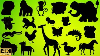 Guess the shadow of the animals quiz| shadow game| learning animals video for kids |Family FunTime!