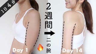 【二の腕痩せ】まだ間に合う！！２週間でタプタプの二の腕を引き締める４分間のトレーニング🔥【ダイエット】2 Weeks Toned Arms Workout