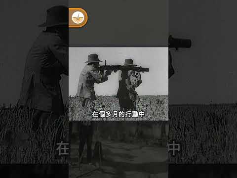 #鴯鶓戰爭 - 現代軍人慘敗於野生動物!  #Emu War