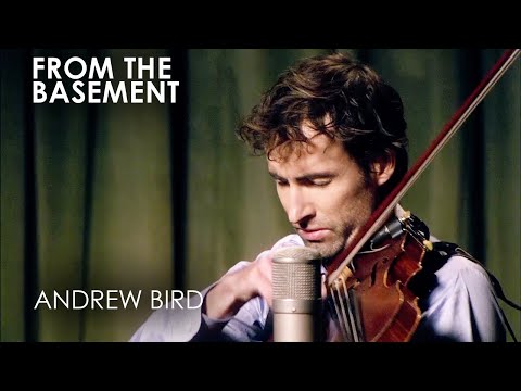 Plasticities | Andrew Bird | From The Basement