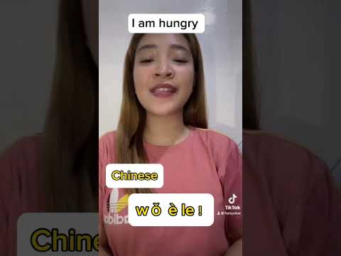 Learn how to speak Chinese! I am hungry!