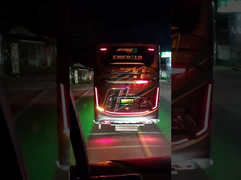 Trip Bus Tividi Jogja-Bogor