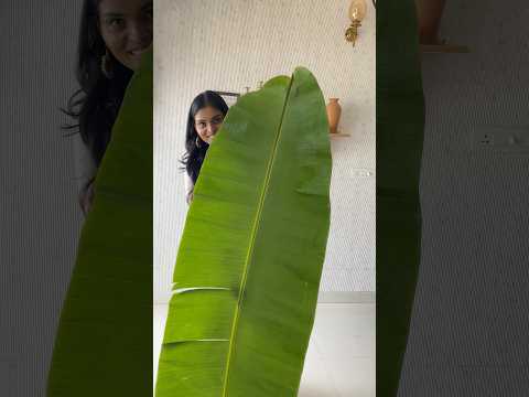 Grand looking bananaleaf toranam in 5 minutes for Diwali #housewarmingdecor #toranam #toran