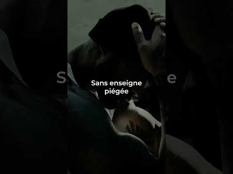 Booba feat SDM - Dolce Camara