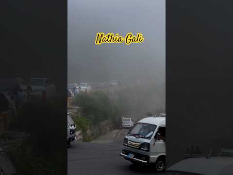 Nathia Gali | funny clips #youtubeshorts #shorts #foryou #trending