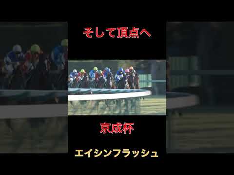 そして頂点へエイシンフラッシュ【京成杯】#競馬#京成杯